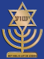 Het logo van de Messiaanse Sjoel bestaat uit een Menorah met daarin in het Hebreeuws het woord Jesjoea, en de tekst 'Het heil is uit de Joden'.